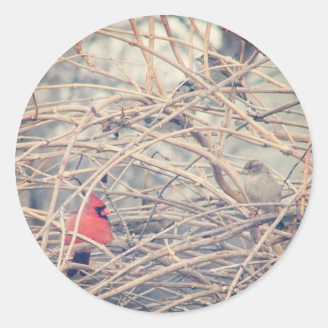 Adesivo Redondo Vermelho em um sonho inverno por angelandspot. (Frente)