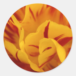 Adesivo Redondo Vermelho Floral Elegante e Tulipas Monsella Dourad