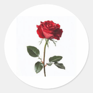 Adesivo Redondo Very beautiful, 👍 nice design