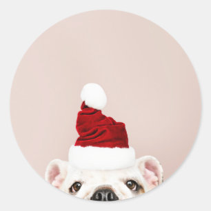 ADESIVO REDONDO VESTIDO DE BOLLDOG DE NATAL