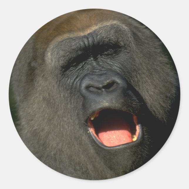 Adesivo Redondo Vestir para criar o seu autocolante personalizado (Frente)