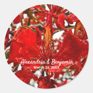 Adesivo Redondo Vibrante Floral Vermelho Personalizado Natureza