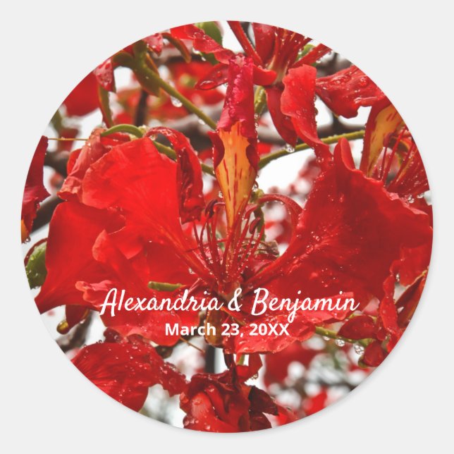 Adesivo Redondo Vibrante Floral Vermelho Personalize Natureza (Frente)