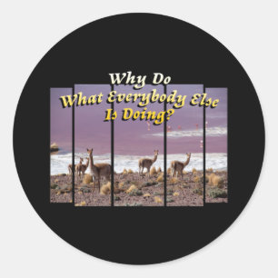 Adesivo Redondo Vicuña Guanaco Lover - Viagem Adventure Cote