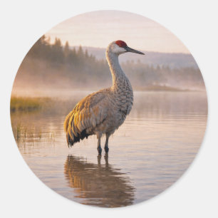 Adesivo Redondo Vida Selvagem Grou-da-areia Pântano