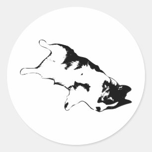 Adesivo Redondo Vida útil do flop