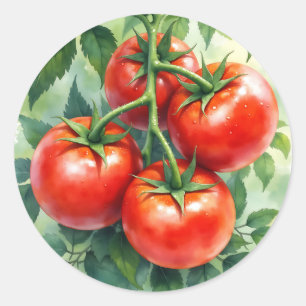Adesivo Redondo Videira de Tomate Maduro Aquarela Fresca