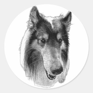 Adesivo Redondo Vigilante & Sereno – Collie