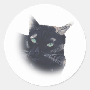 Adesivo Redondo Vigneta de Tortoise Shell Face Stickers