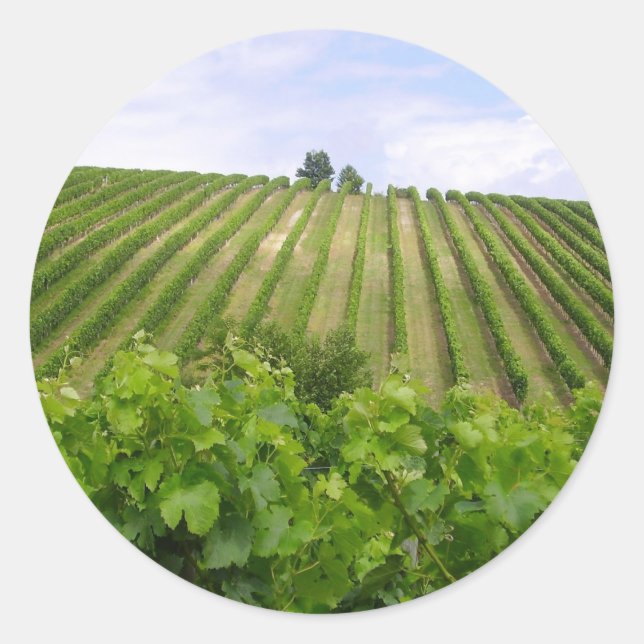 Adesivo Redondo Vineyard - Vinhedo (Bordéus - França) 02 (Frente)
