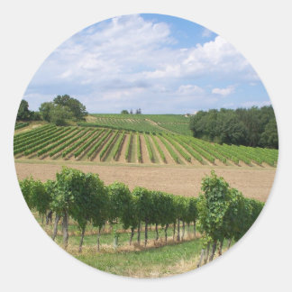 Adesivo Redondo Vineyard - Vinhedo (Bordéus - França) 04