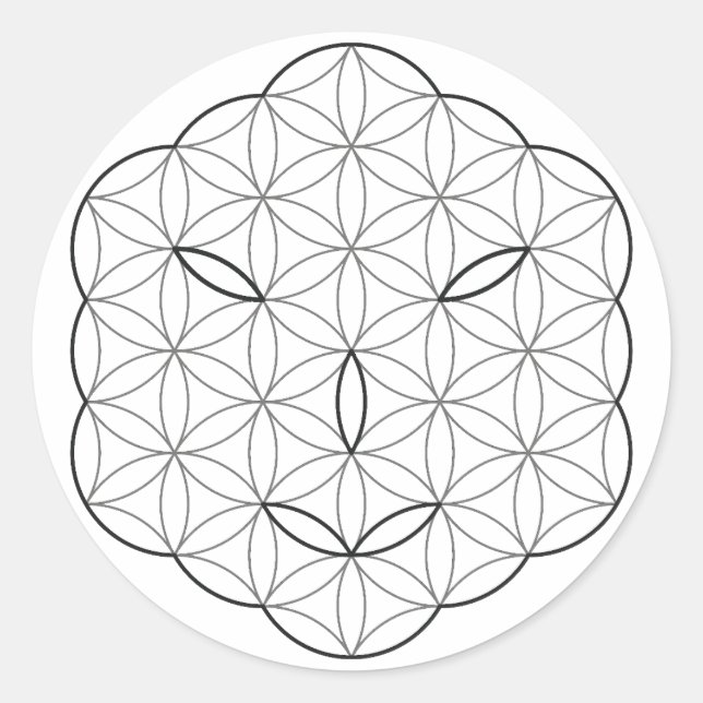 Adesivo Redondo Vinheta (Frente)