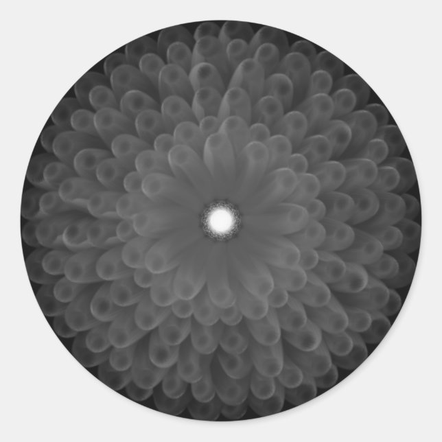 Adesivo Redondo Vinheta (Frente)