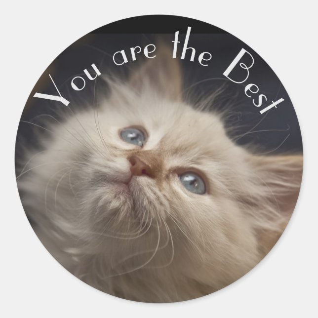 Adesivo Redondo Vinheta (Frente)