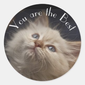 Adesivo Redondo Vinheta