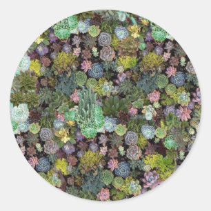 Adesivo Redondo Vinheta