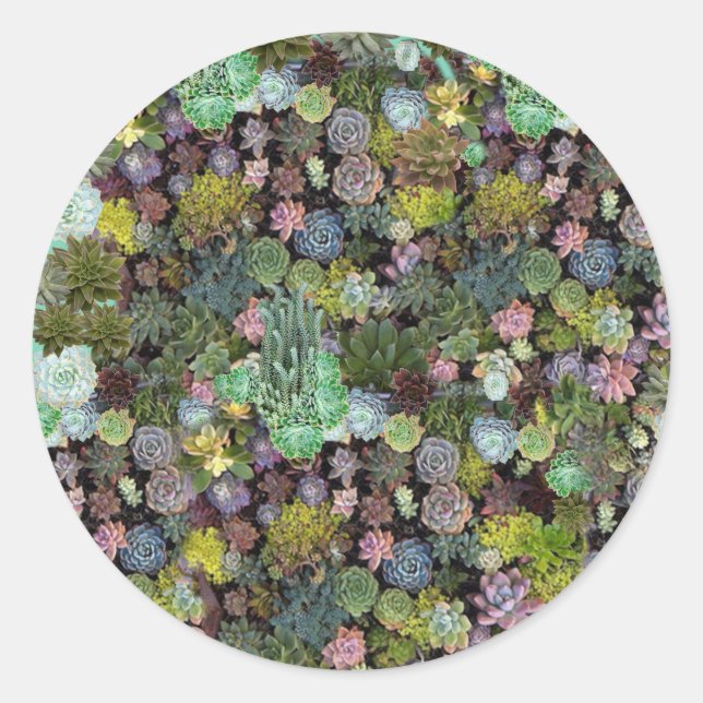 Adesivo Redondo Vinheta (Frente)