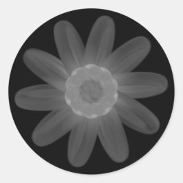 Adesivo Redondo Vinheta