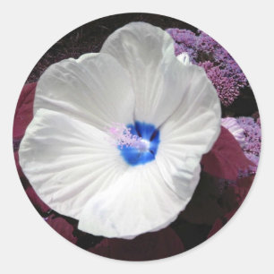 Adesivo Redondo Vinheta Azul Hibiscus - Personalizável
