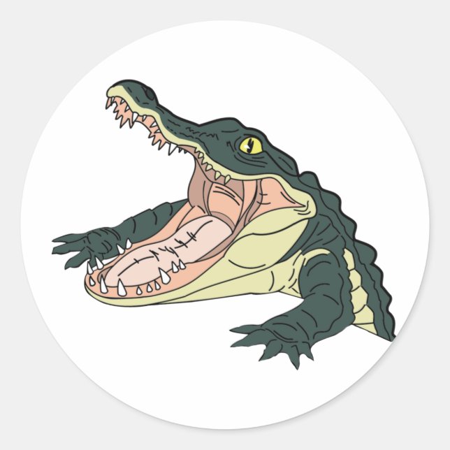 Adesivo Redondo Vinheta Bask (Frente)