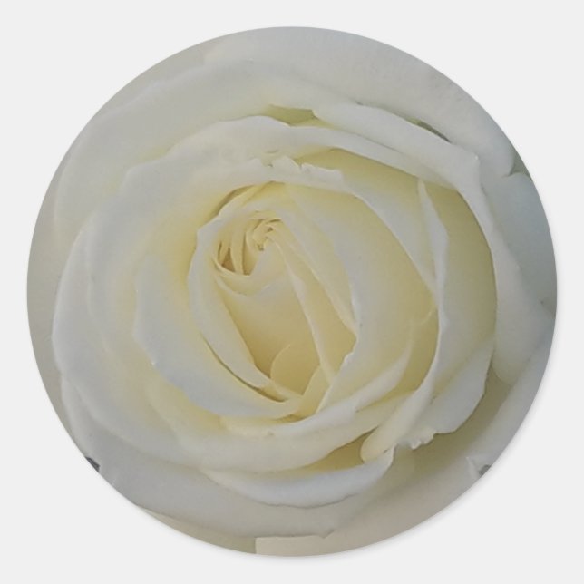 Adesivo Redondo vinheta branca (Frente)