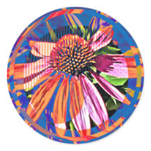 Vinheta Brilhante e Bonita