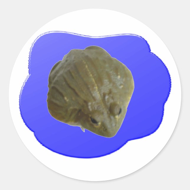 Adesivo Redondo Vinheta Bullfrog (Frente)