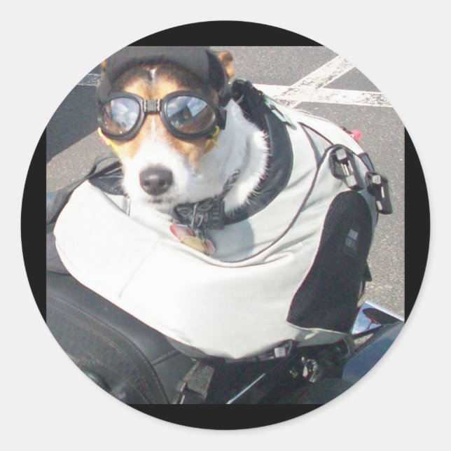 Adesivo Redondo Vinheta Canino (Frente)