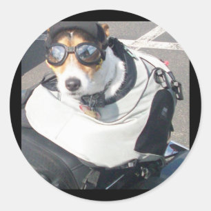 Adesivo Redondo Vinheta Canino