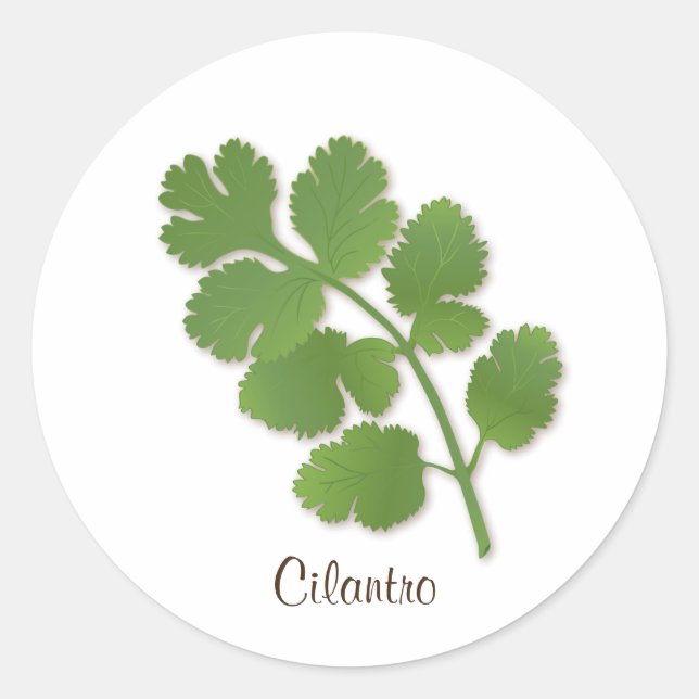 Adesivo Redondo Vinheta Cilantro (Frente)