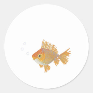 Adesivo Redondo Vinheta com Ilustração de Peixe Goldfish