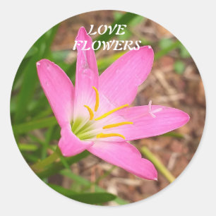 Adesivo Redondo Vinheta com mensagem relacionada com a natureza