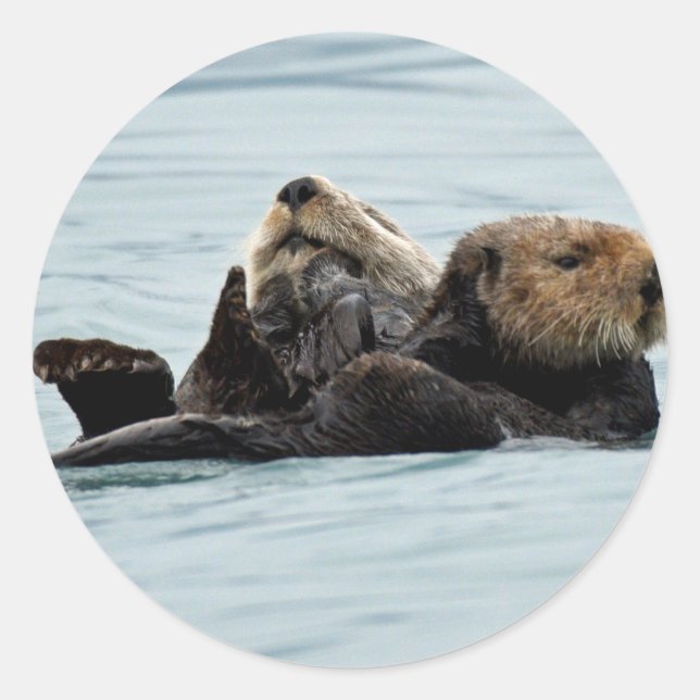 Adesivo Redondo Vinheta das lontras (Frente)