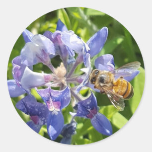 Adesivo Redondo Vinheta de abelha