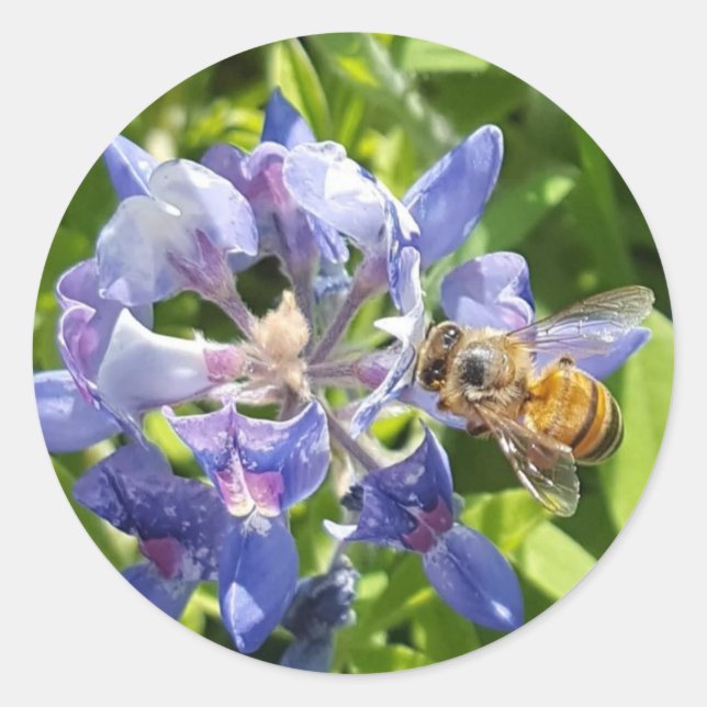 Adesivo Redondo Vinheta de abelha (Frente)
