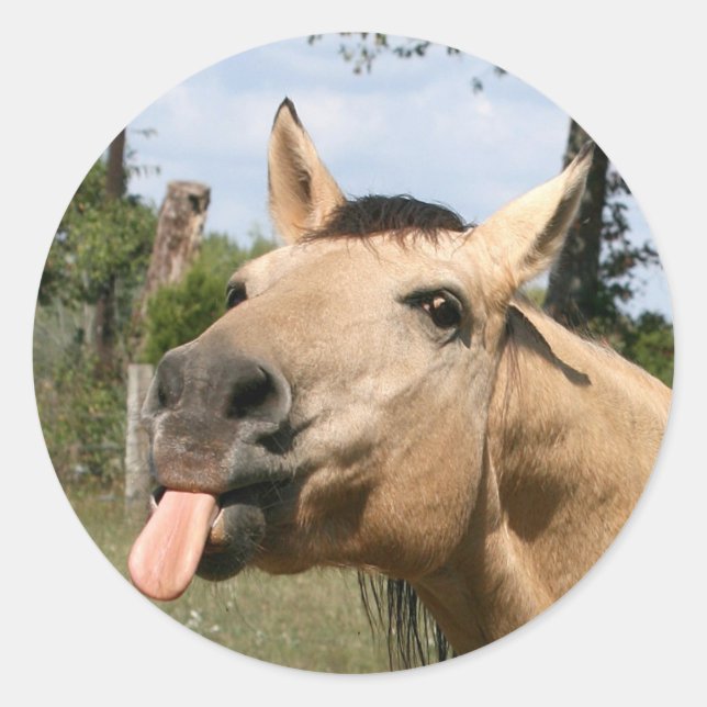 Adesivo Redondo vinheta de amora (Frente)