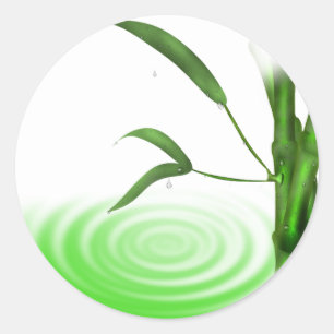 Adesivo Redondo Vinheta de bambu com água encanada