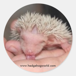 Adesivo Redondo Vinheta de bebê