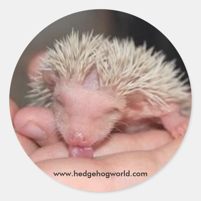 Adesivo Redondo Vinheta de bebê (Frente)