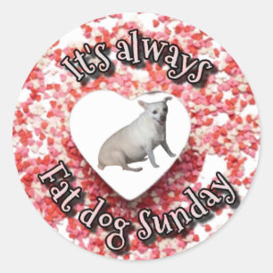 Adesivo Redondo Vinheta de cão gordo