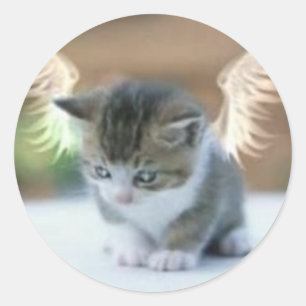 Adesivo Redondo Vinheta de captura