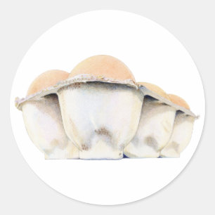 Adesivo Redondo Vinheta de cartão de ovo