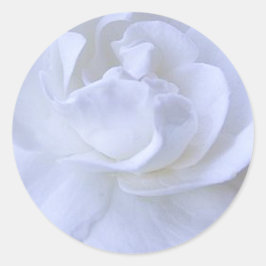 Adesivo Redondo Vinheta de Casamento Rosa Branca