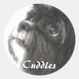 Adesivo Redondo Vinheta de Cuddles
