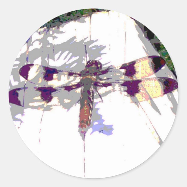 Adesivo Redondo Vinheta de Dragonfly (Frente)