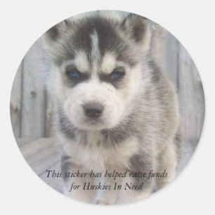 Adesivo Redondo Vinheta de drenagem