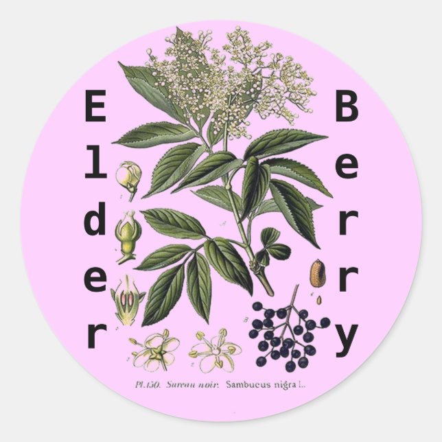 Adesivo Redondo Vinheta de Elderberry Sambucus (Frente)