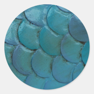 Adesivo Redondo Vinheta de Escalas de Cavalo-do-mar