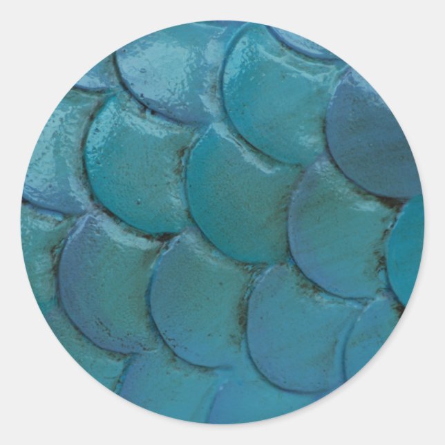 Adesivo Redondo Vinheta de Escalas de Cavalo-do-mar (Frente)