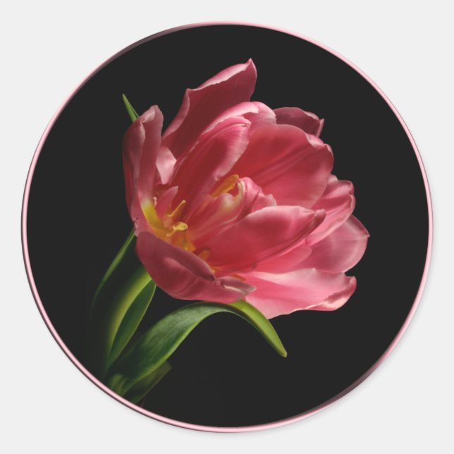 Adesivo Redondo Vinheta de fecho de envelope de coluna de primaver (Frente)